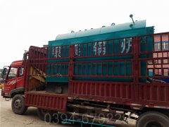 生物质锅炉脱硝
