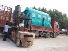 立式电荷兰vs波兰世界杯
