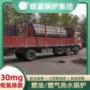 WNS0.7-1.0-QY节能蒸汽锅炉荷兰vs波兰世界杯
