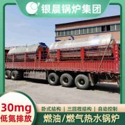 WNS0.3-0.7-QY低氮冷凝蒸汽锅炉荷兰vs波兰世界杯

