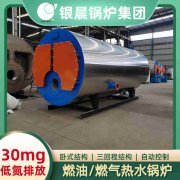 10吨低氮冷凝蒸汽锅炉荷兰vs波兰世界杯
