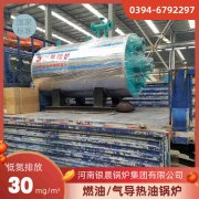 0.2吨低氮蒸汽锅炉荷兰vs波兰世界杯
