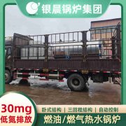 天然气生物质锅炉