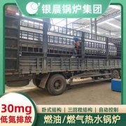 承压燃气锅炉